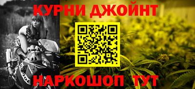 крисы Будённовск