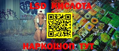 крисы Будённовск