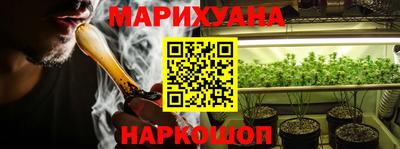 крисы Будённовск