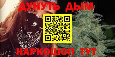 крисы Будённовск